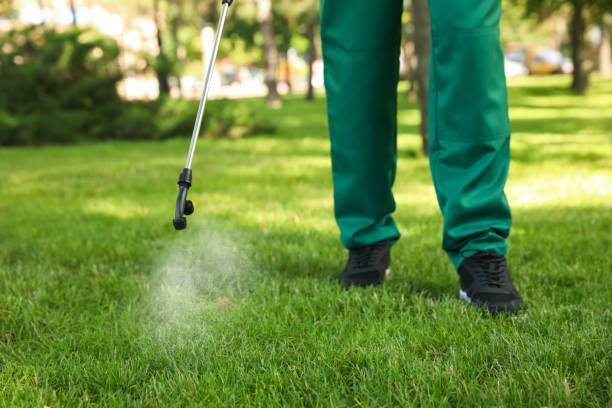 Best Pest Control for Businesses  in Pacific, WA