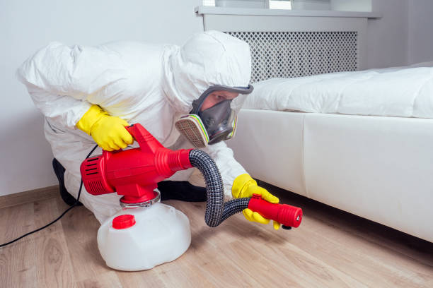 Best Affordable Pest Control Services  in Pacific, WA