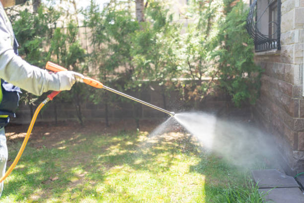 Flea Control Services in Pacific, WA