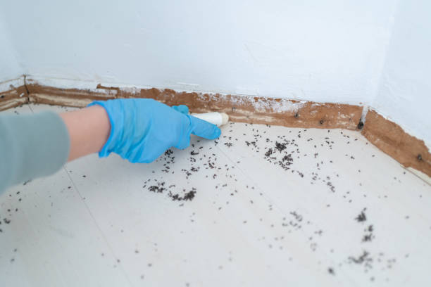 Best Best Pest Control Companies  in Pacific, WA