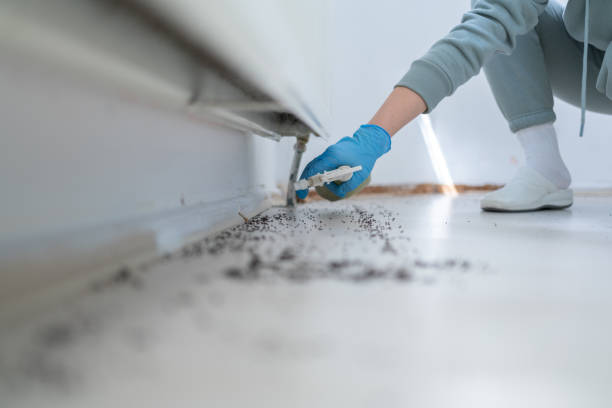 Best Pest Removal Services  in Pacific, WA